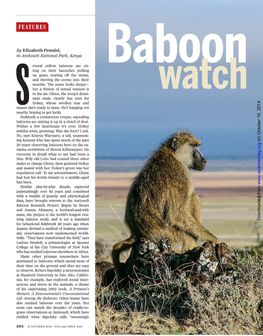 baboon_watch_page_1